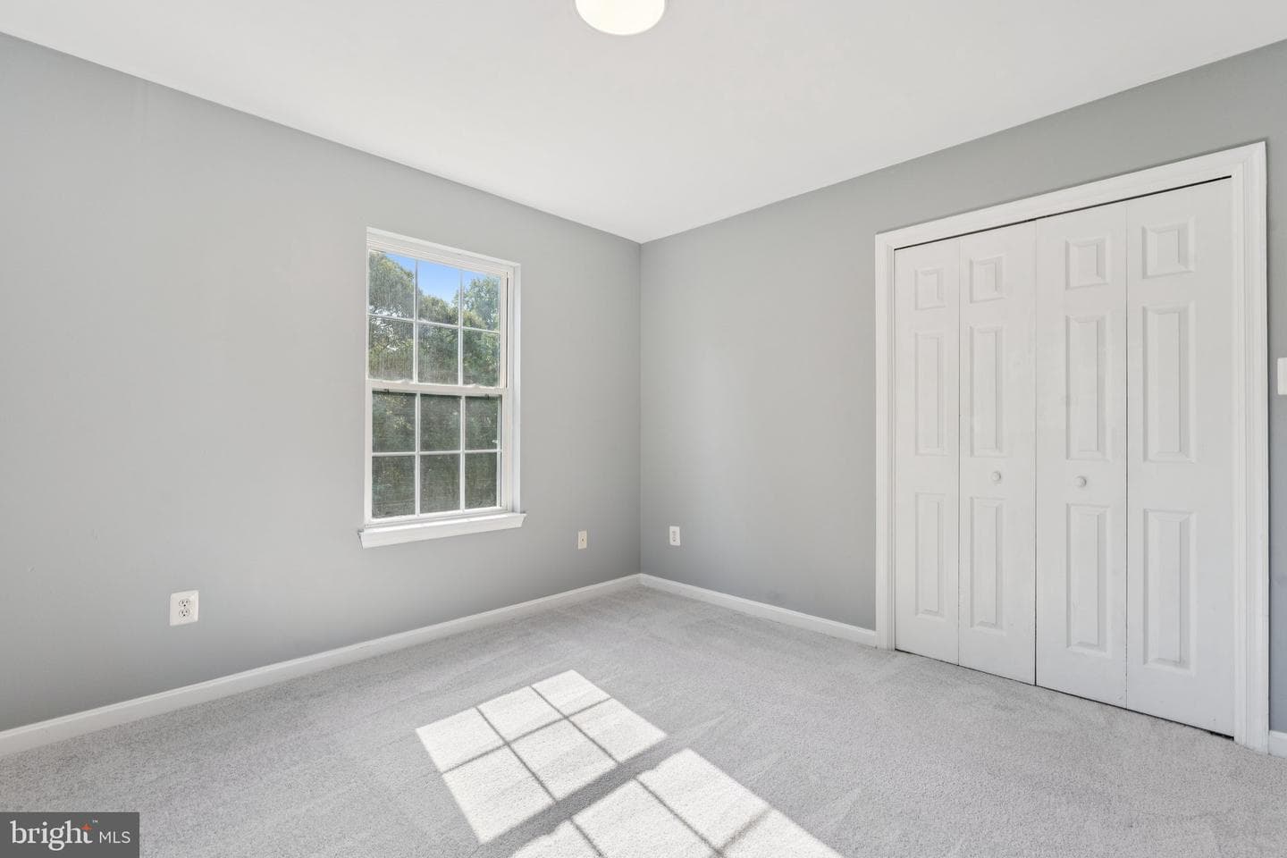2050 Horace Ward Road photo 25