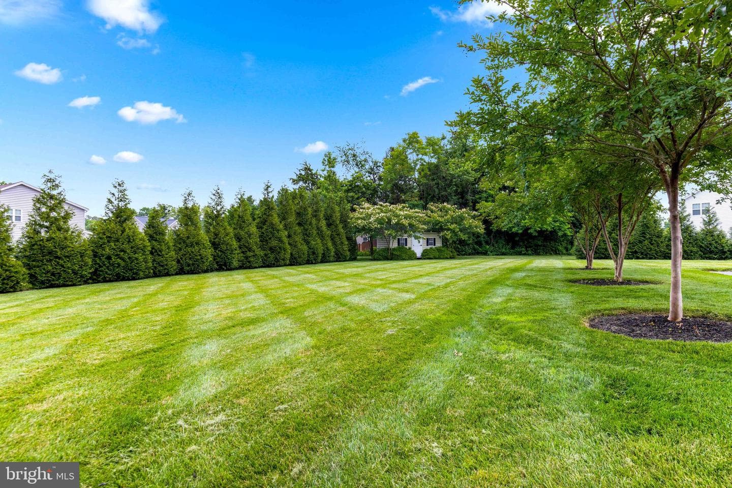 1820 Perspective Place photo 60