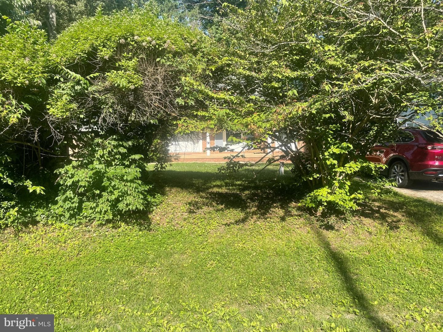 13149 River View Drive photo 29
