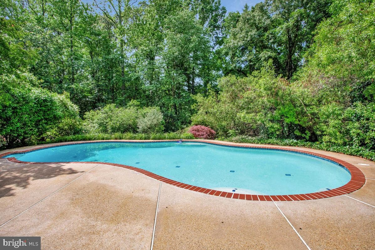7701 Lake Shore Drive photo 41