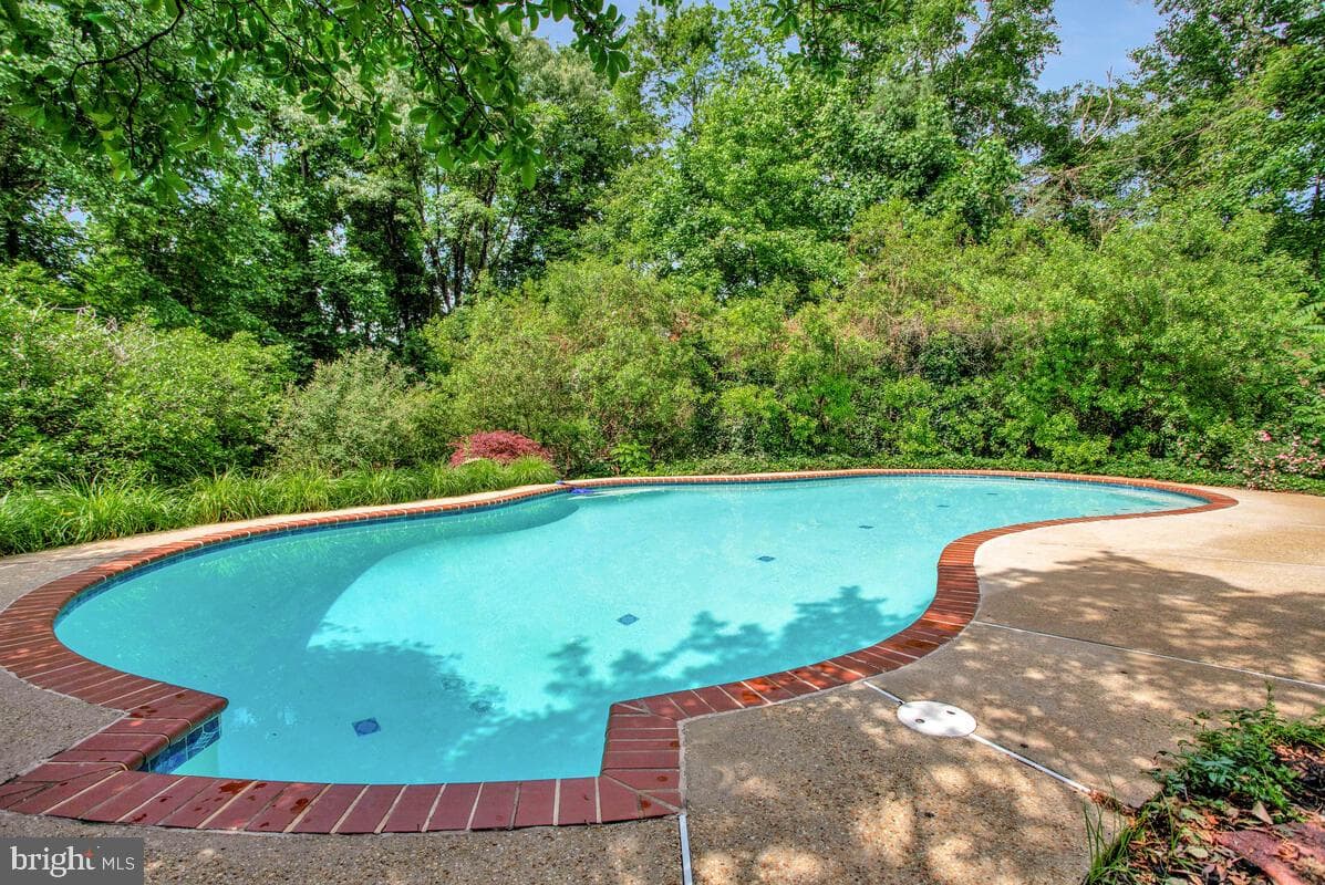 7701 Lake Shore Drive photo 42