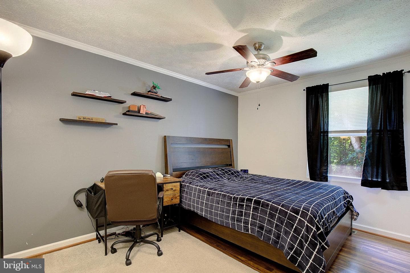 4123 Cassell Boulevard photo 11