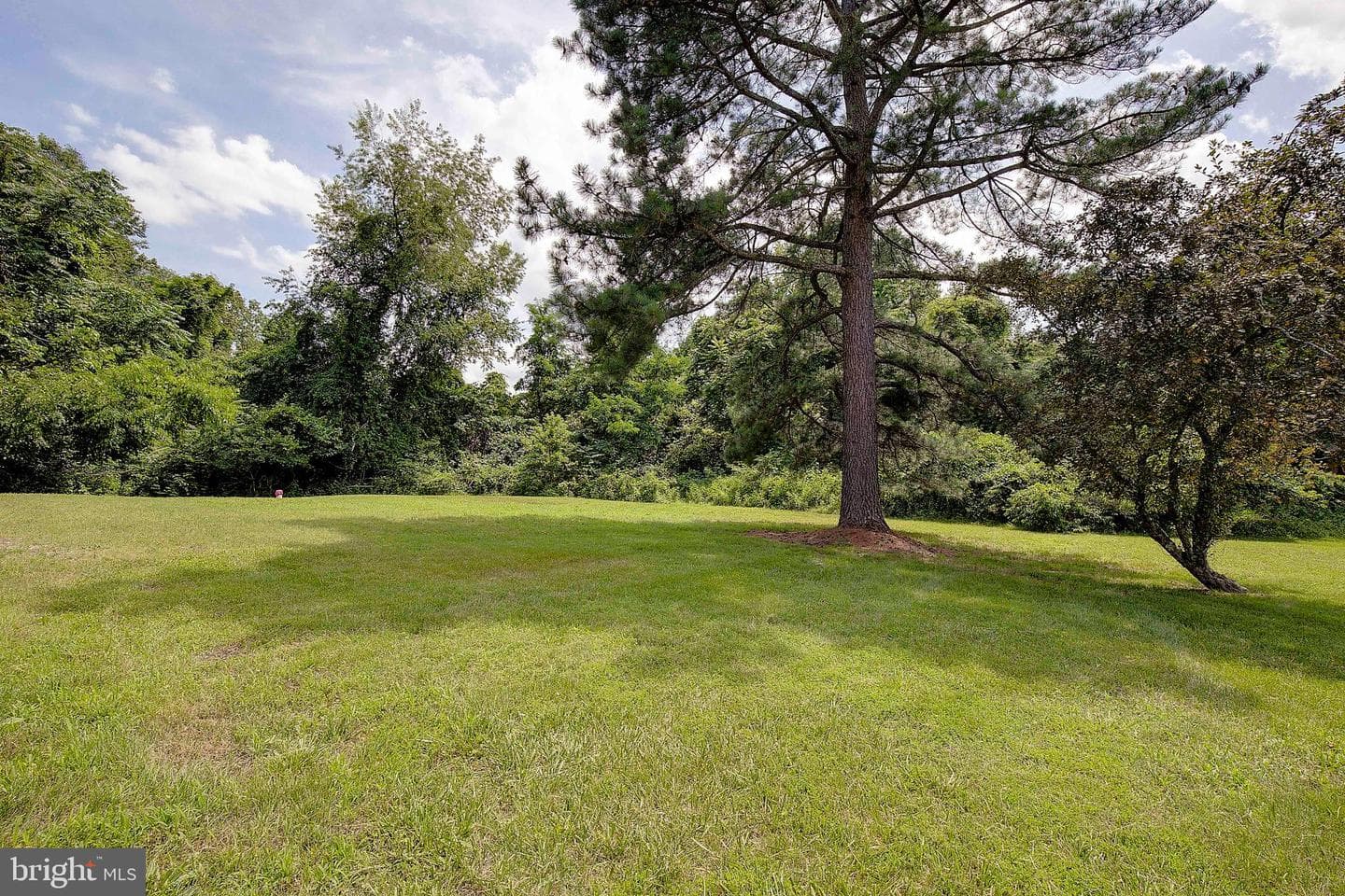 7285 Clyde Jones Road photo 38