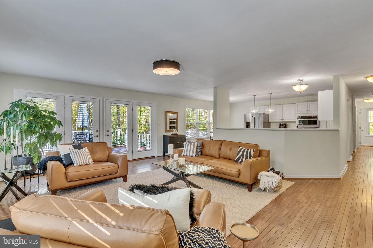 9260 Megatha Lane photo 4