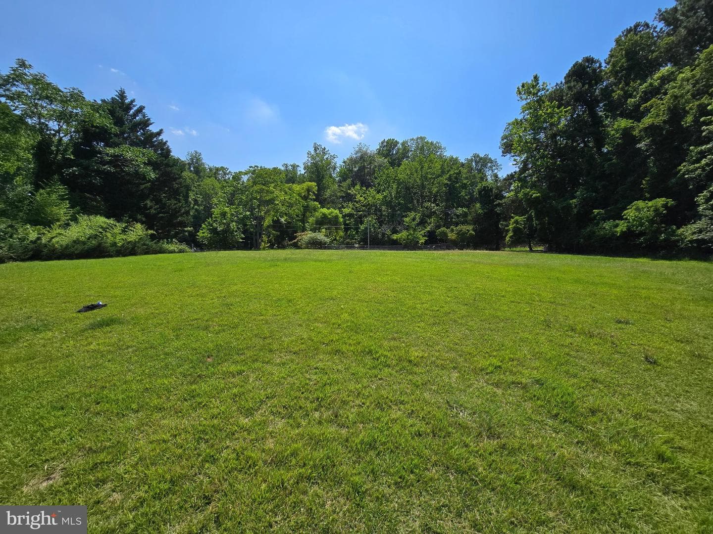 1650 Walnut Road photo 43