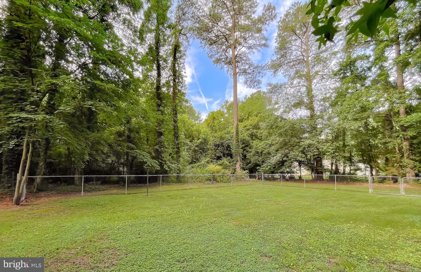 13495 Joy Road photo 13
