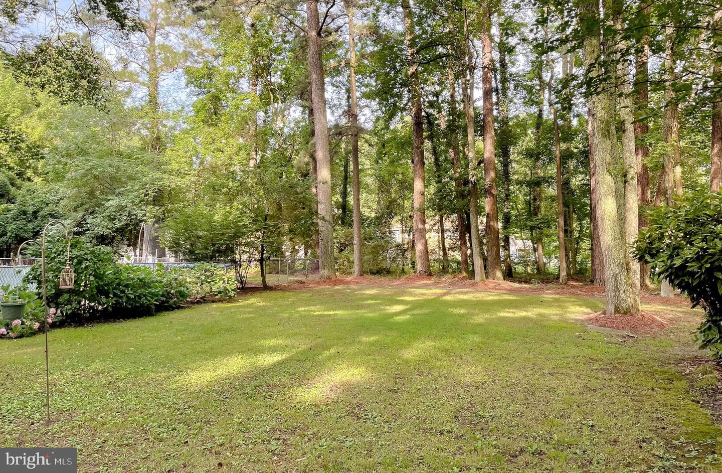13495 Joy Road photo 14