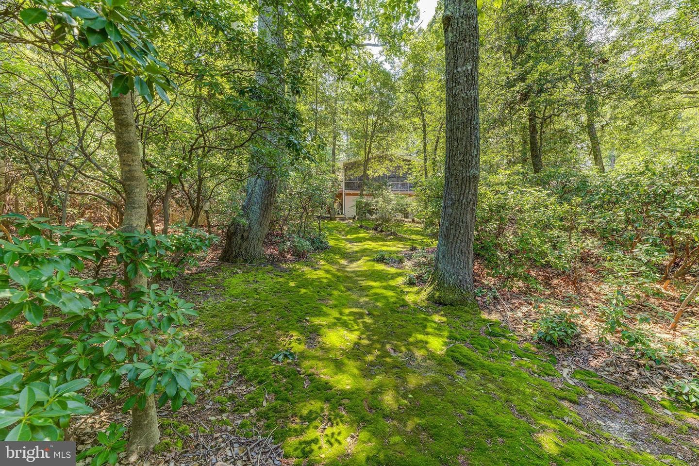 12951 Mills Creek Drive photo 27