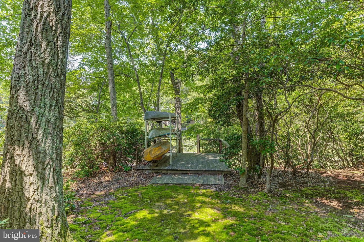 12951 Mills Creek Drive photo 28