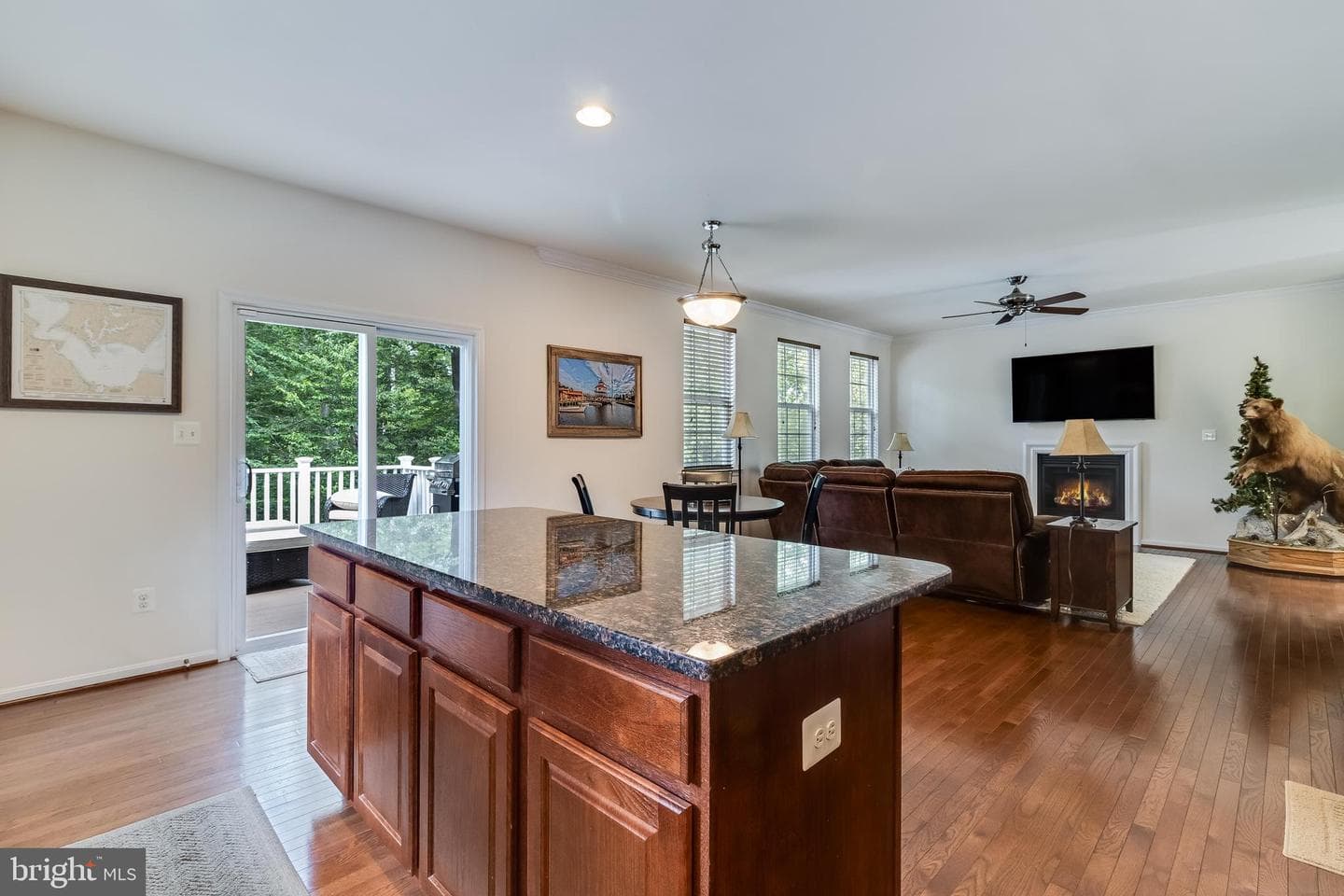 435 Dark Star Way photo 4