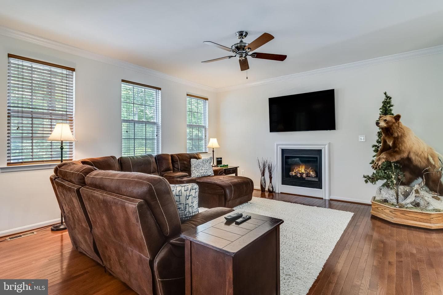 435 Dark Star Way photo 6