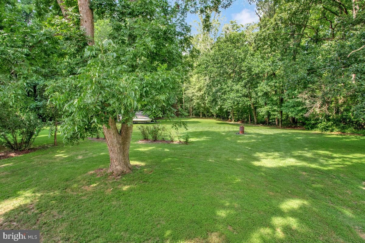 35 Walton Road photo 29