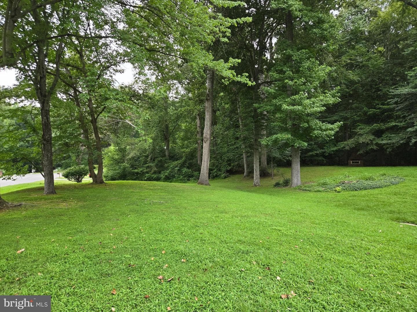 3908 Lakeside Court photo 18