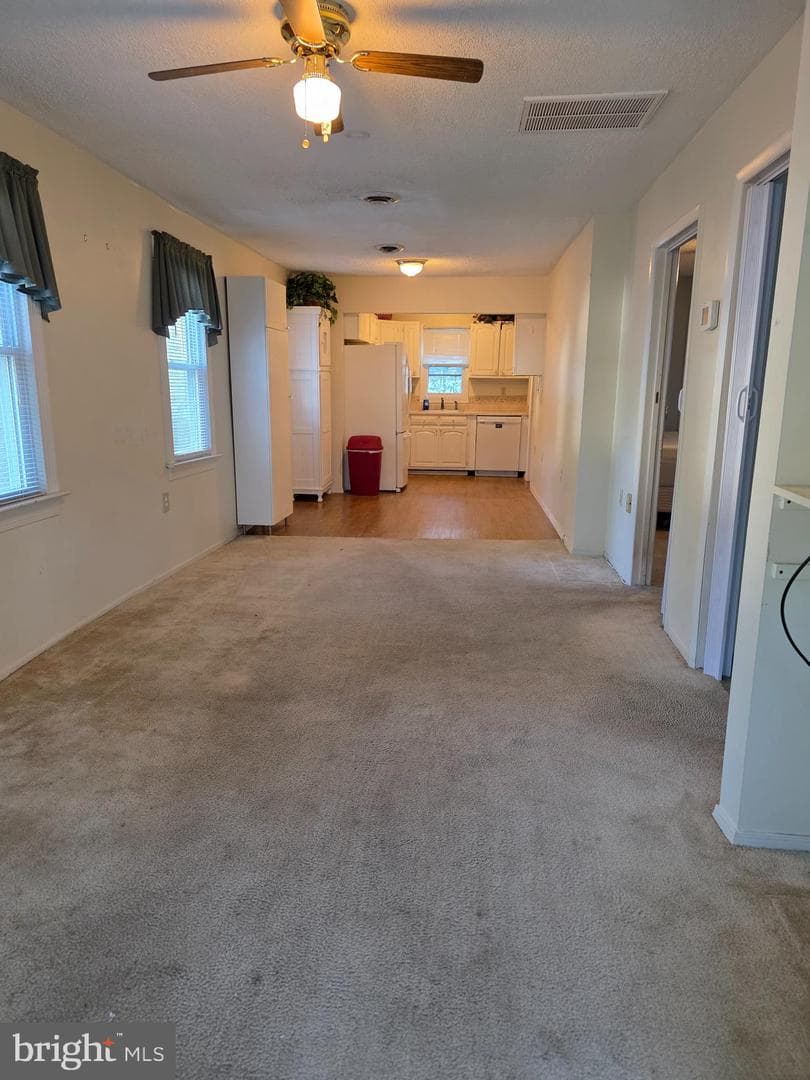 3915 8th Street photo 2
