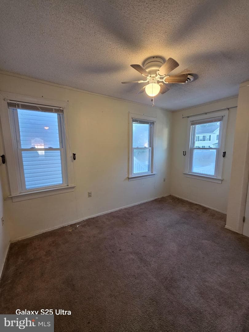 3915 8th Street photo 3