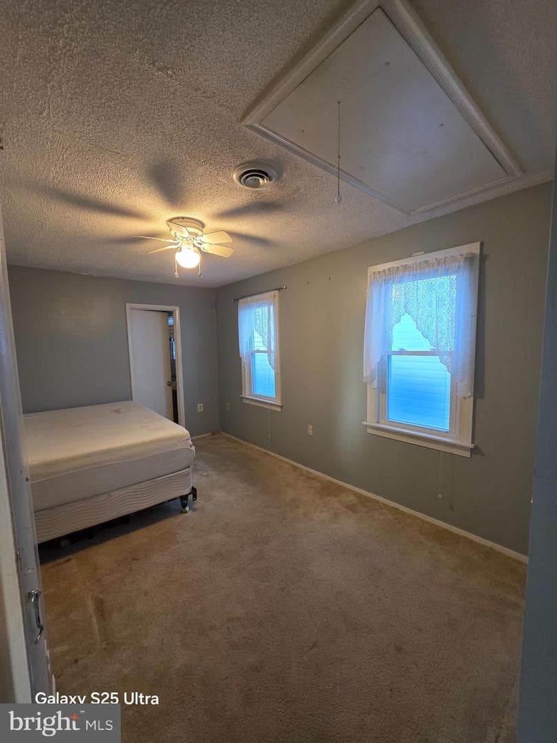 3915 8th Street photo 4