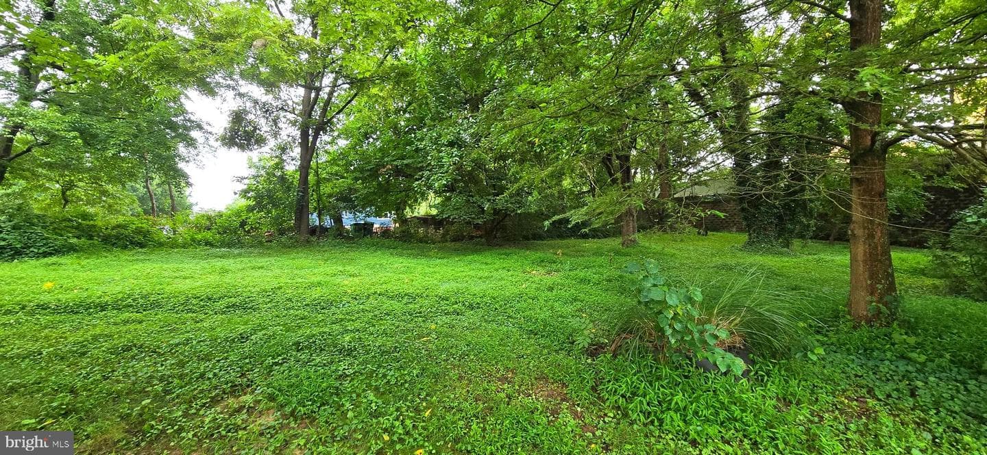 210 Buckler Road photo 4