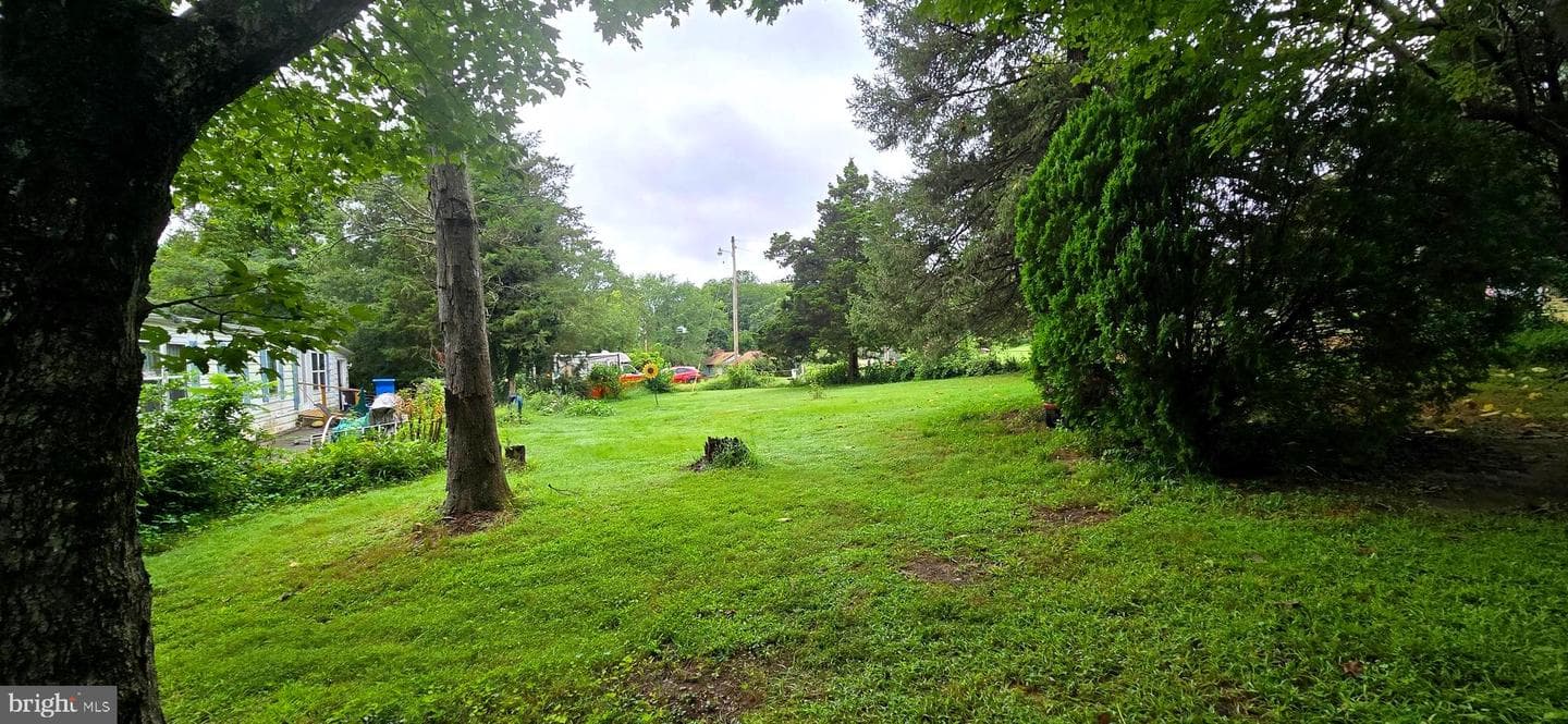 210 Buckler Road photo 5