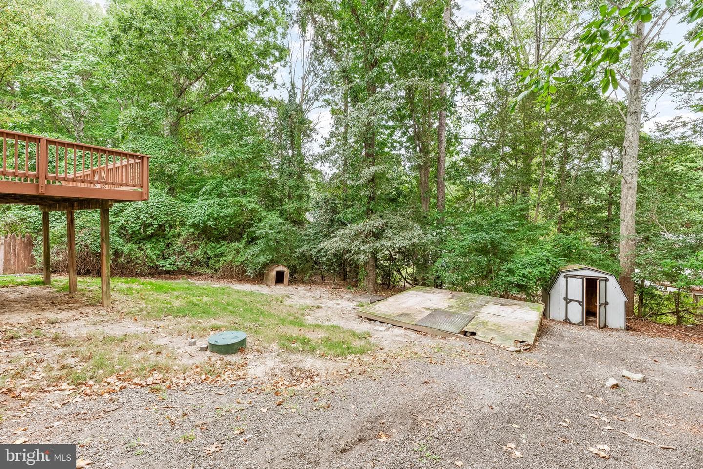 11644 Cowpoke Circle photo 35