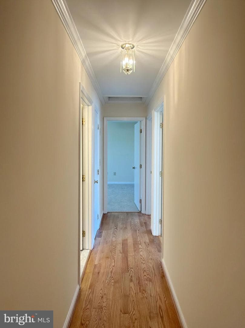 1135 Sheridan Drive photo 43