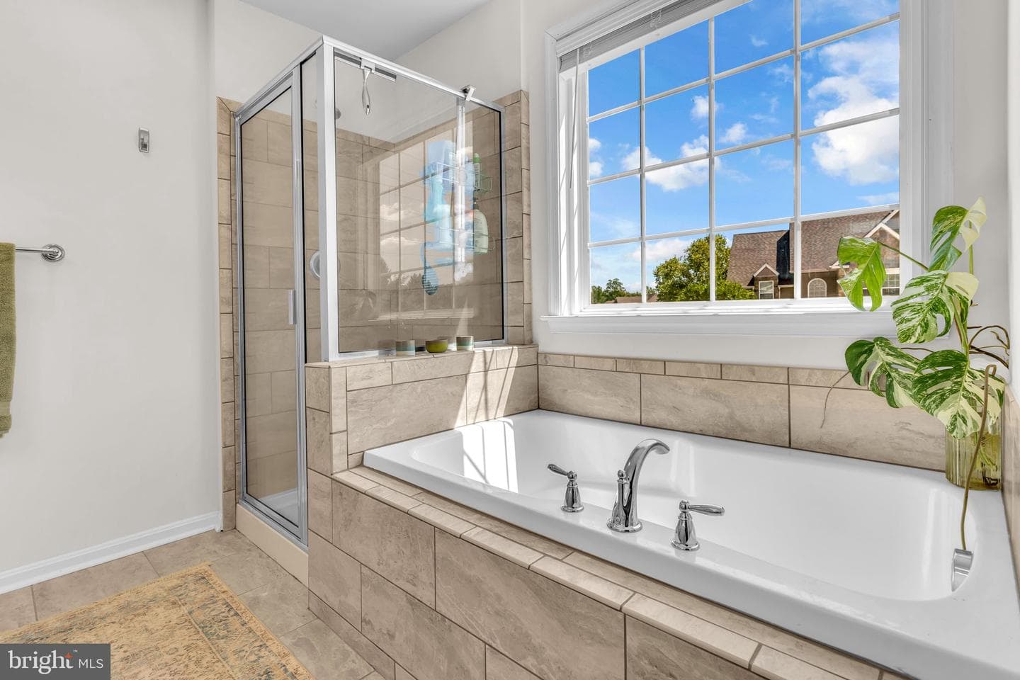 139 Thoroughbred Drive photo 28