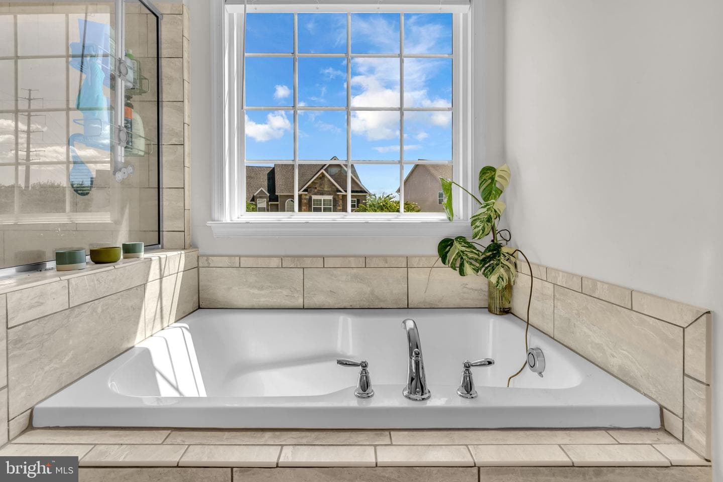 139 Thoroughbred Drive photo 29