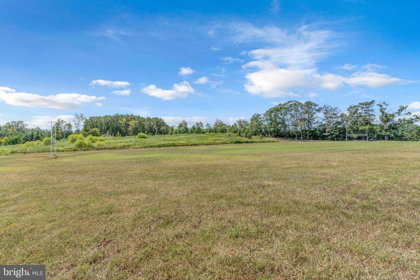 139 Thoroughbred Drive photo 56