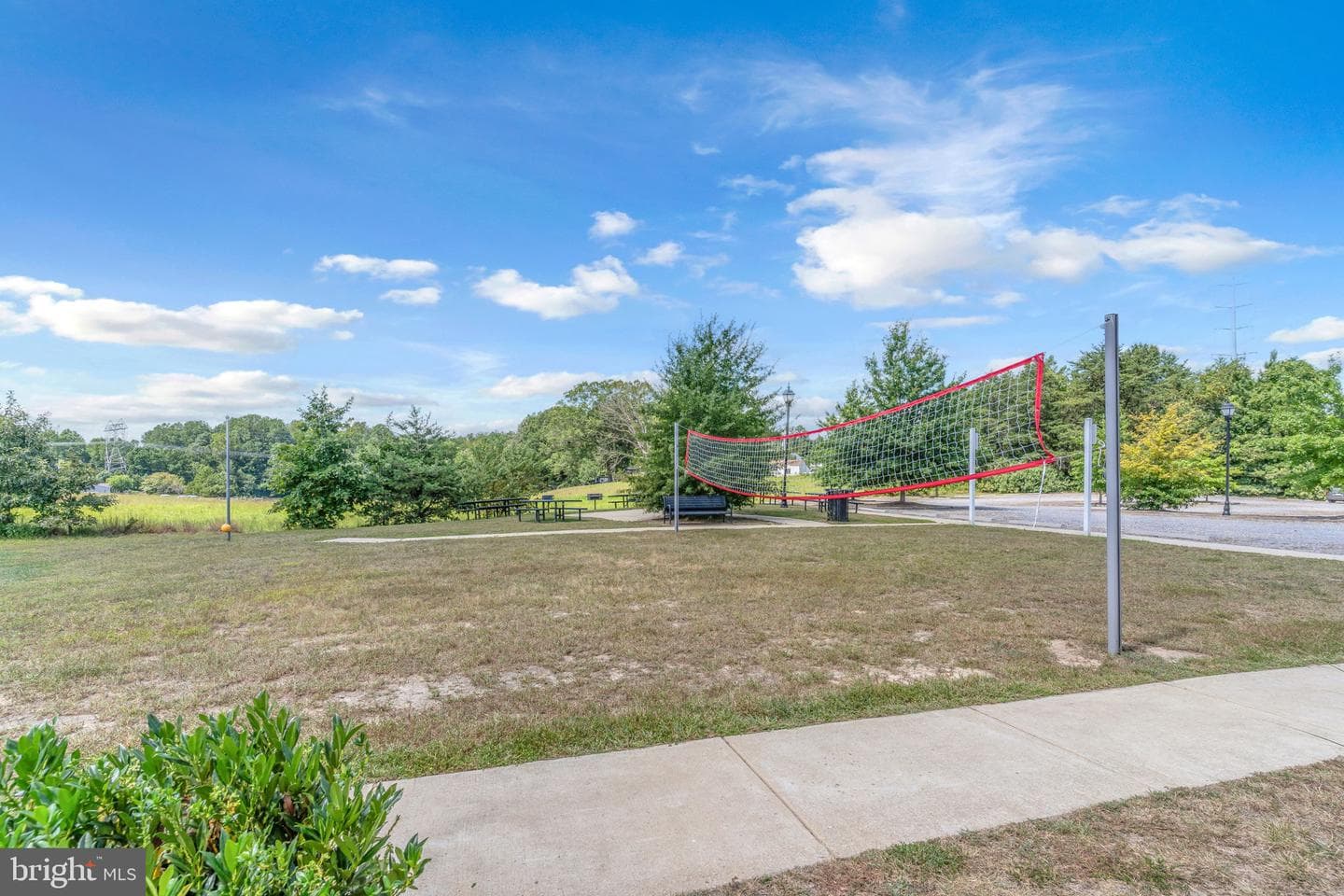 139 Thoroughbred Drive photo 58