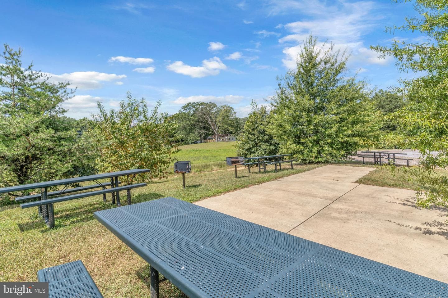 139 Thoroughbred Drive photo 59