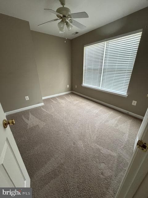 8910 Louisville Avenue photo 23