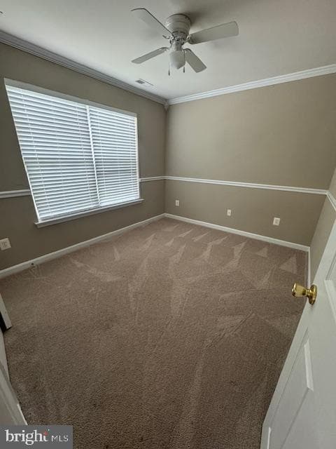 8910 Louisville Avenue photo 24