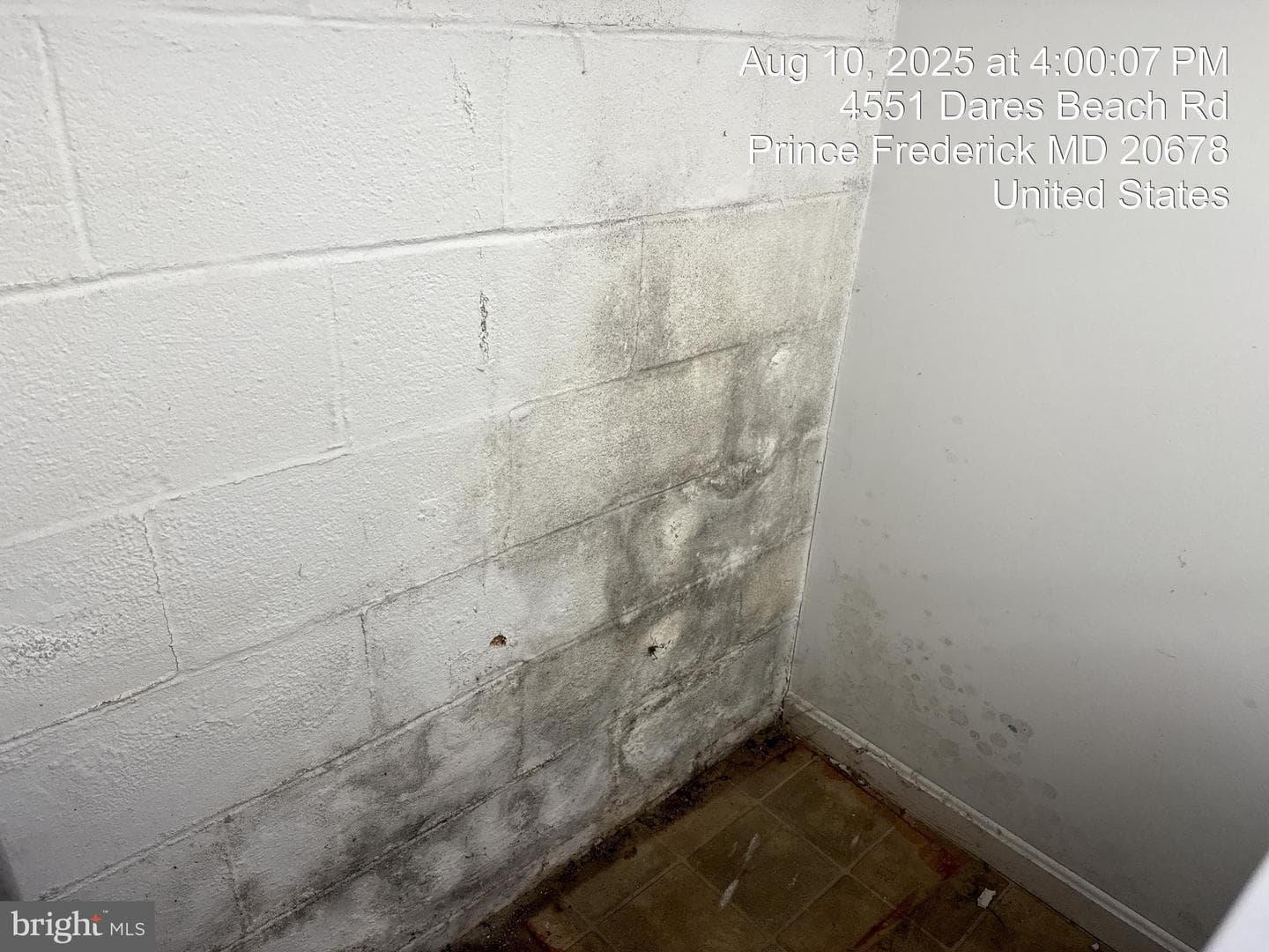 4551 Dares Beach Road photo 54