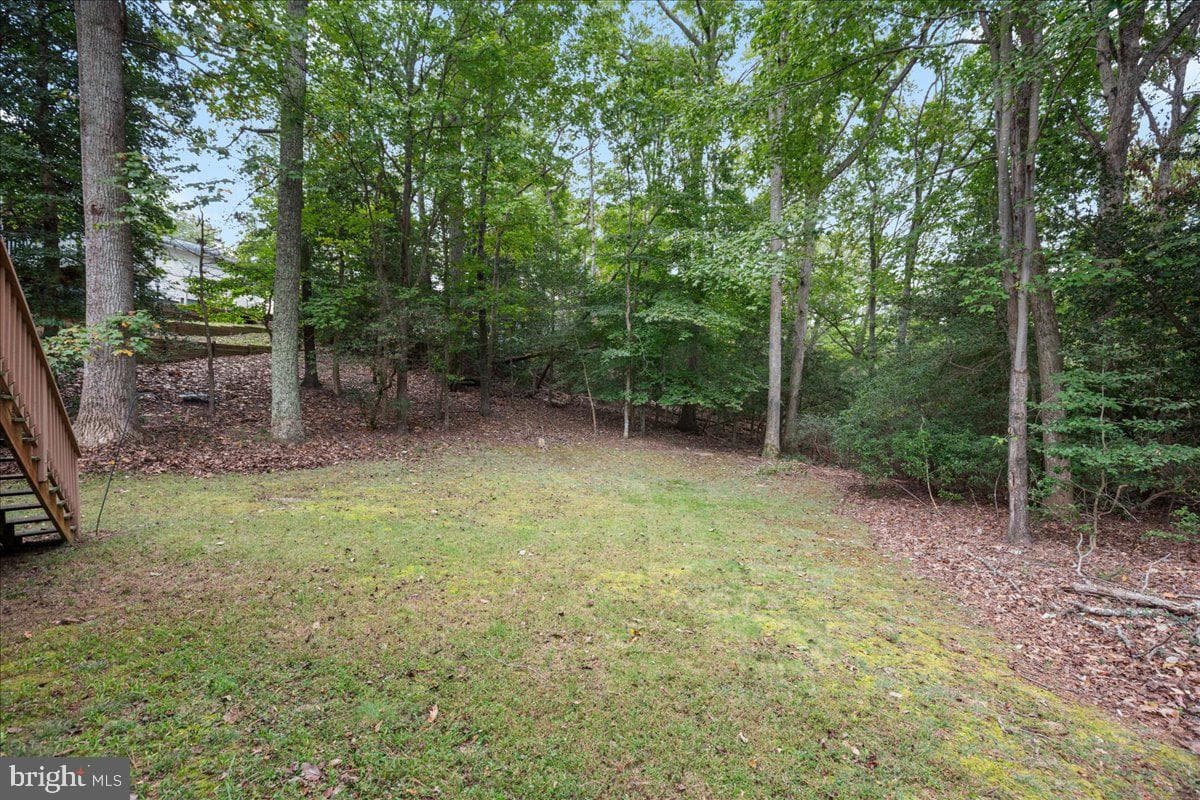 980 Silverton photo 38