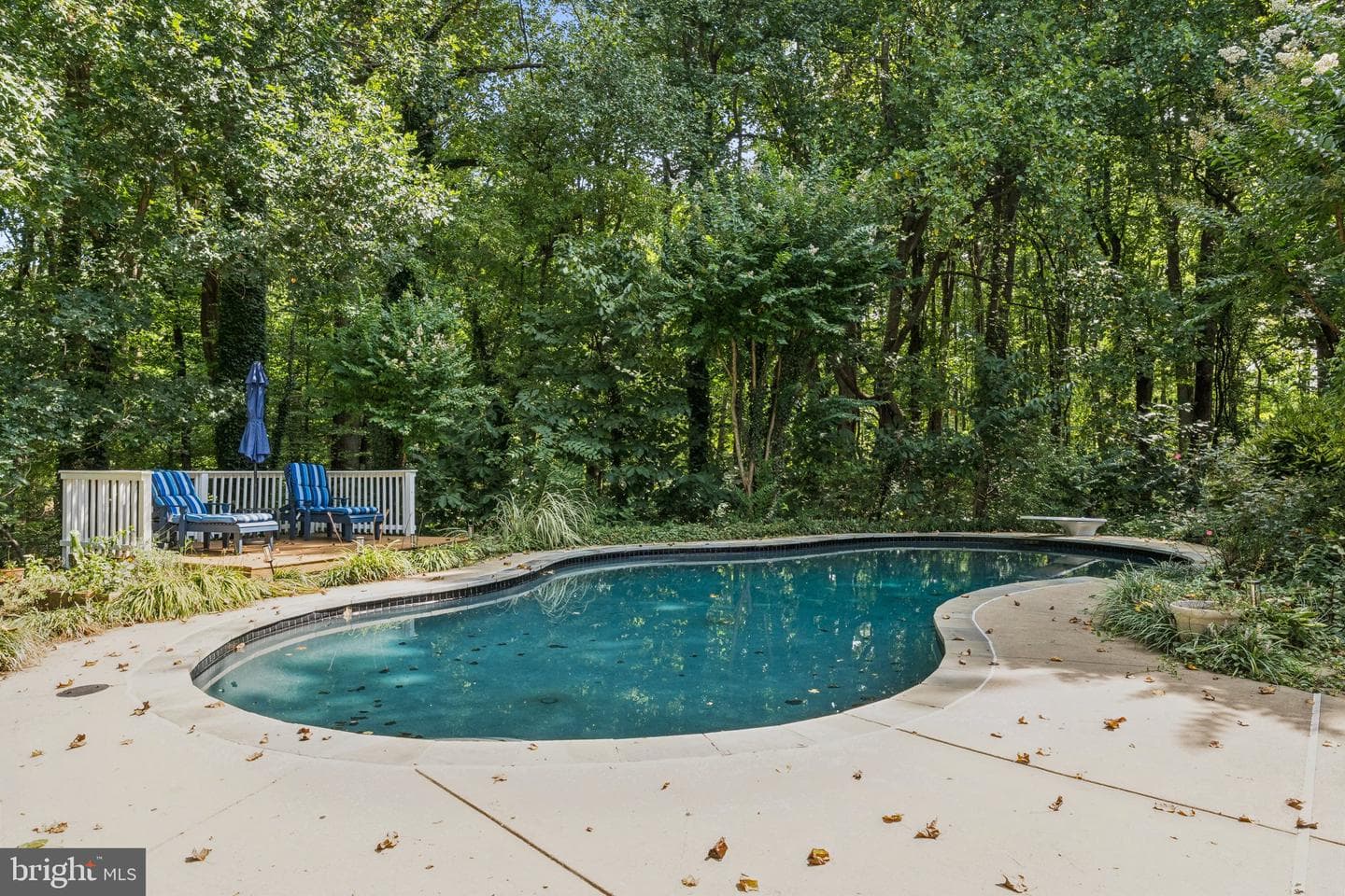 5010 Louise Lane photo 19