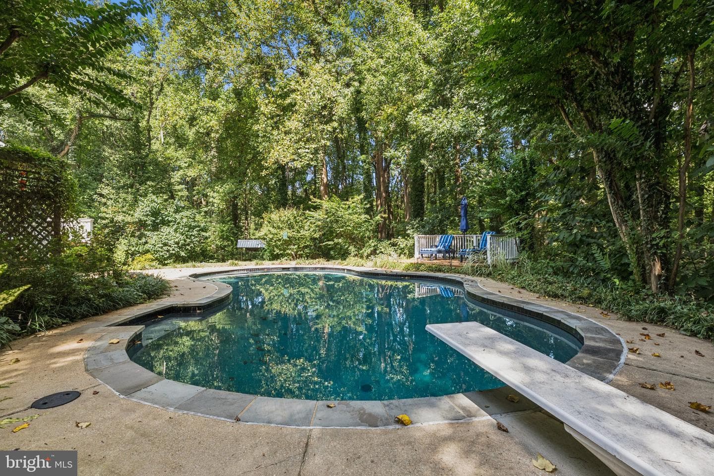 5010 Louise Lane photo 20