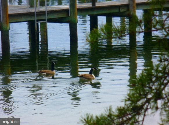 735 Runabout Loop #735 photo 51