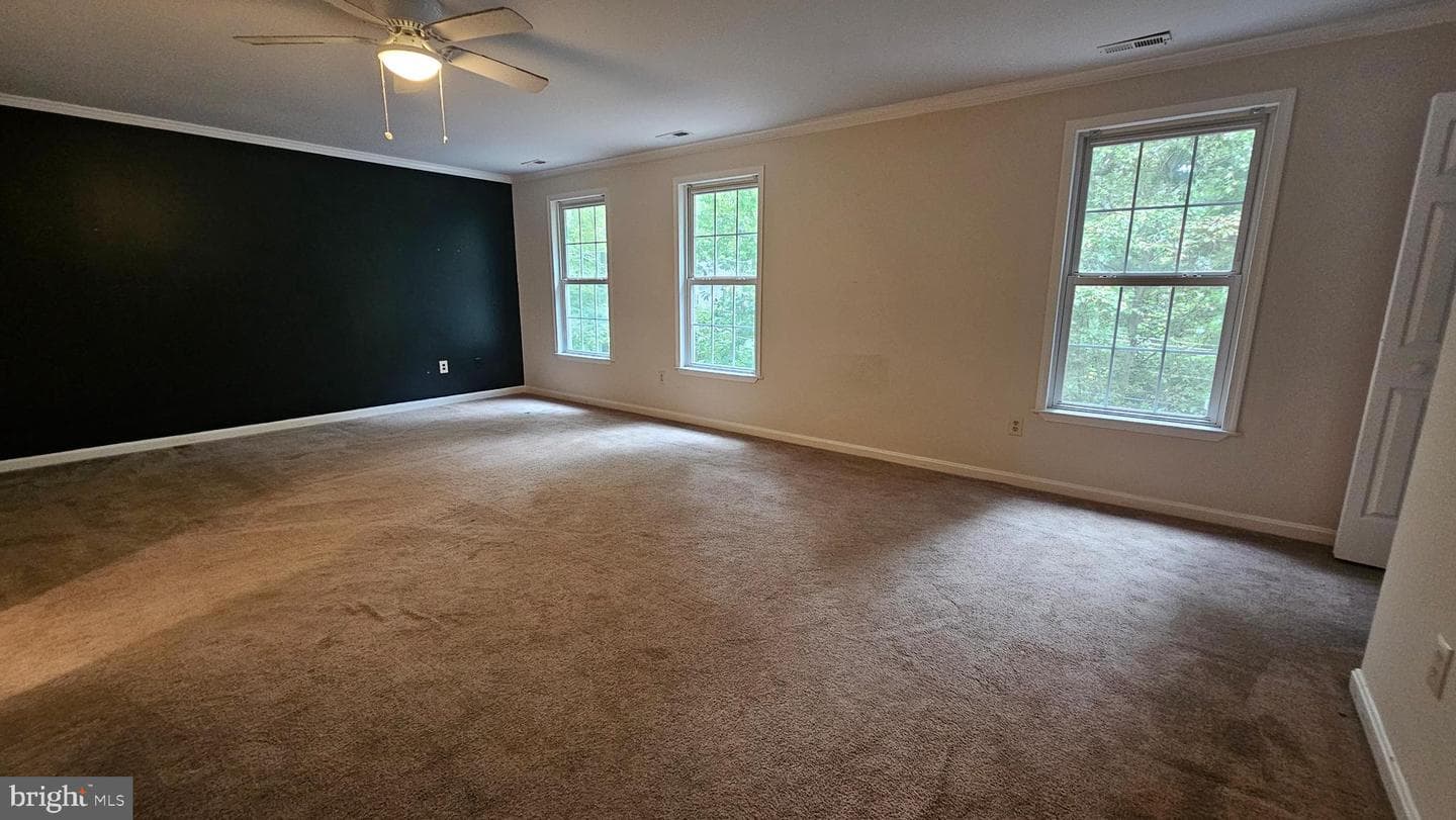 228 Thunderbird Drive photo 19