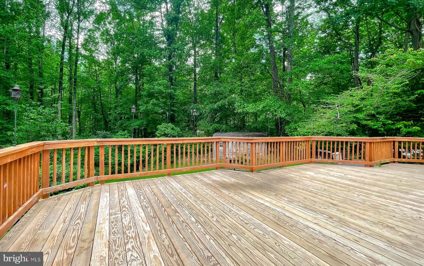 1425 Abbey Lane photo 3