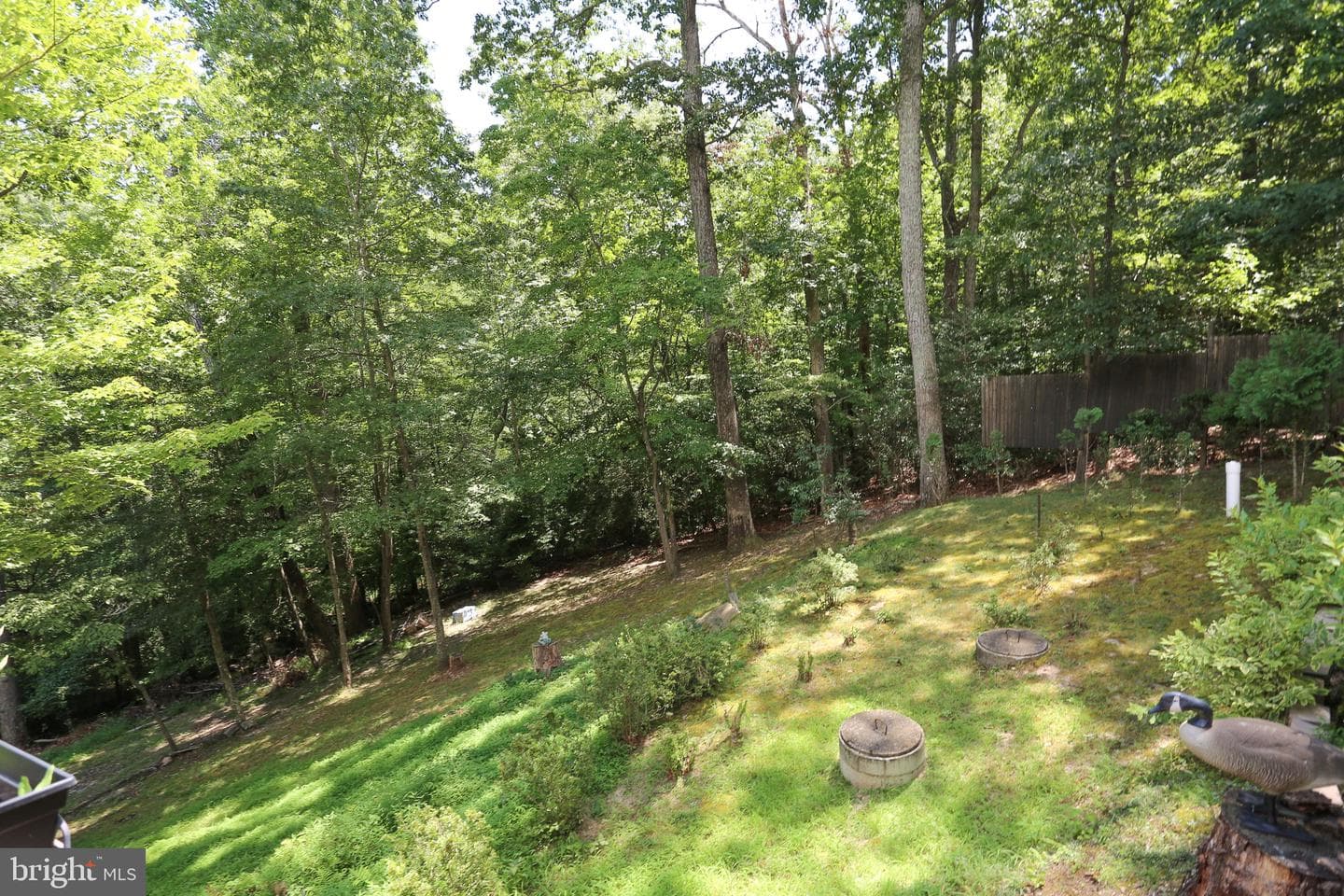 11522 Buckskin Court photo 31