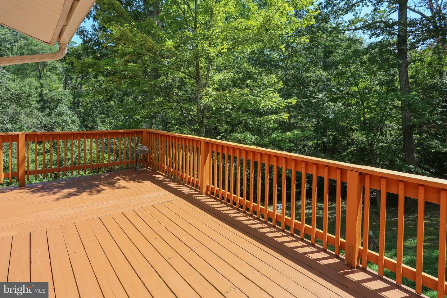 11522 Buckskin Court photo 5