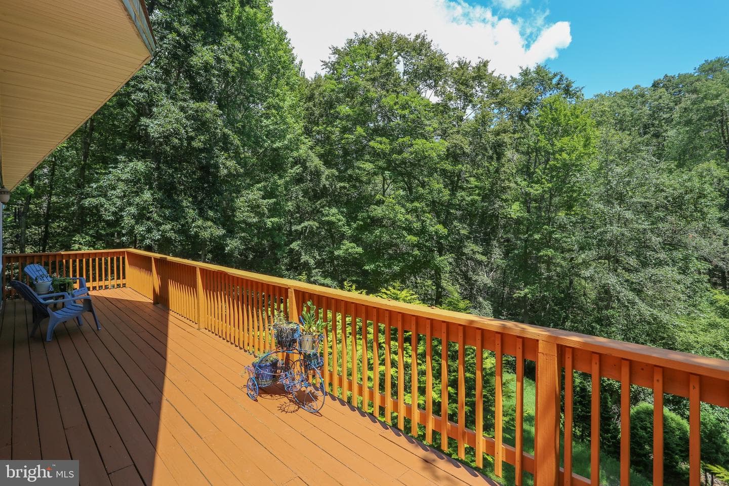 11522 Buckskin Court photo 6