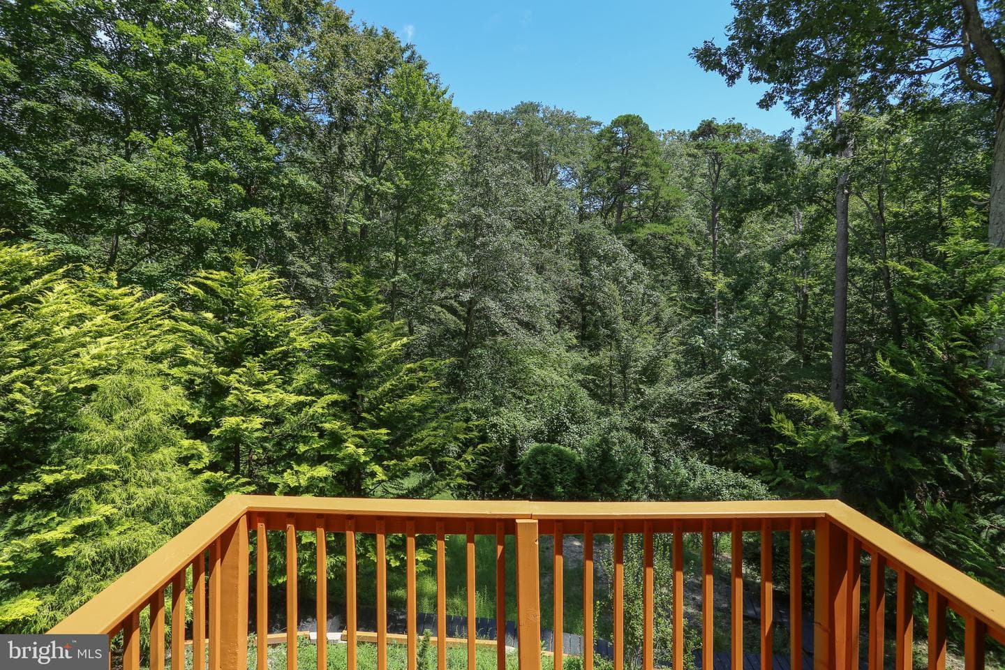 11522 Buckskin Court photo 7