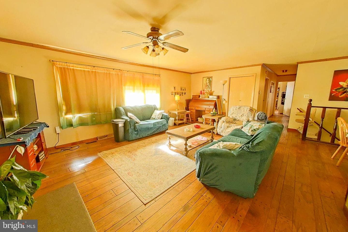 300 Armiger Road photo 14