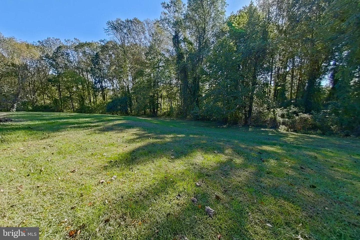 300 Armiger Road photo 42