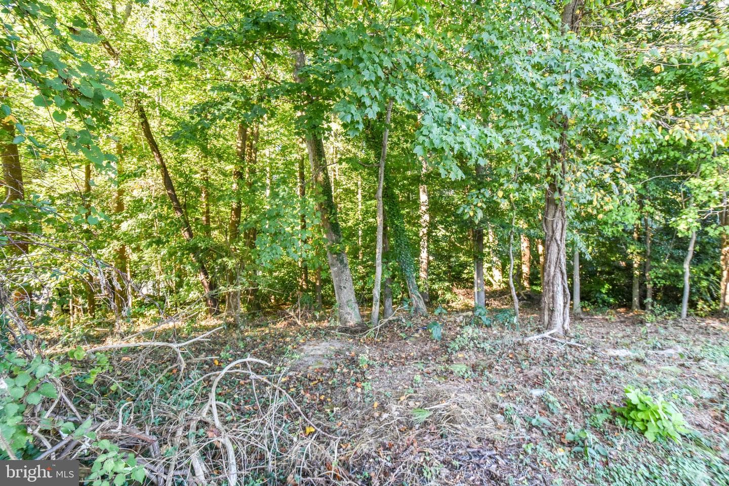 6041 Hill Road photo 6