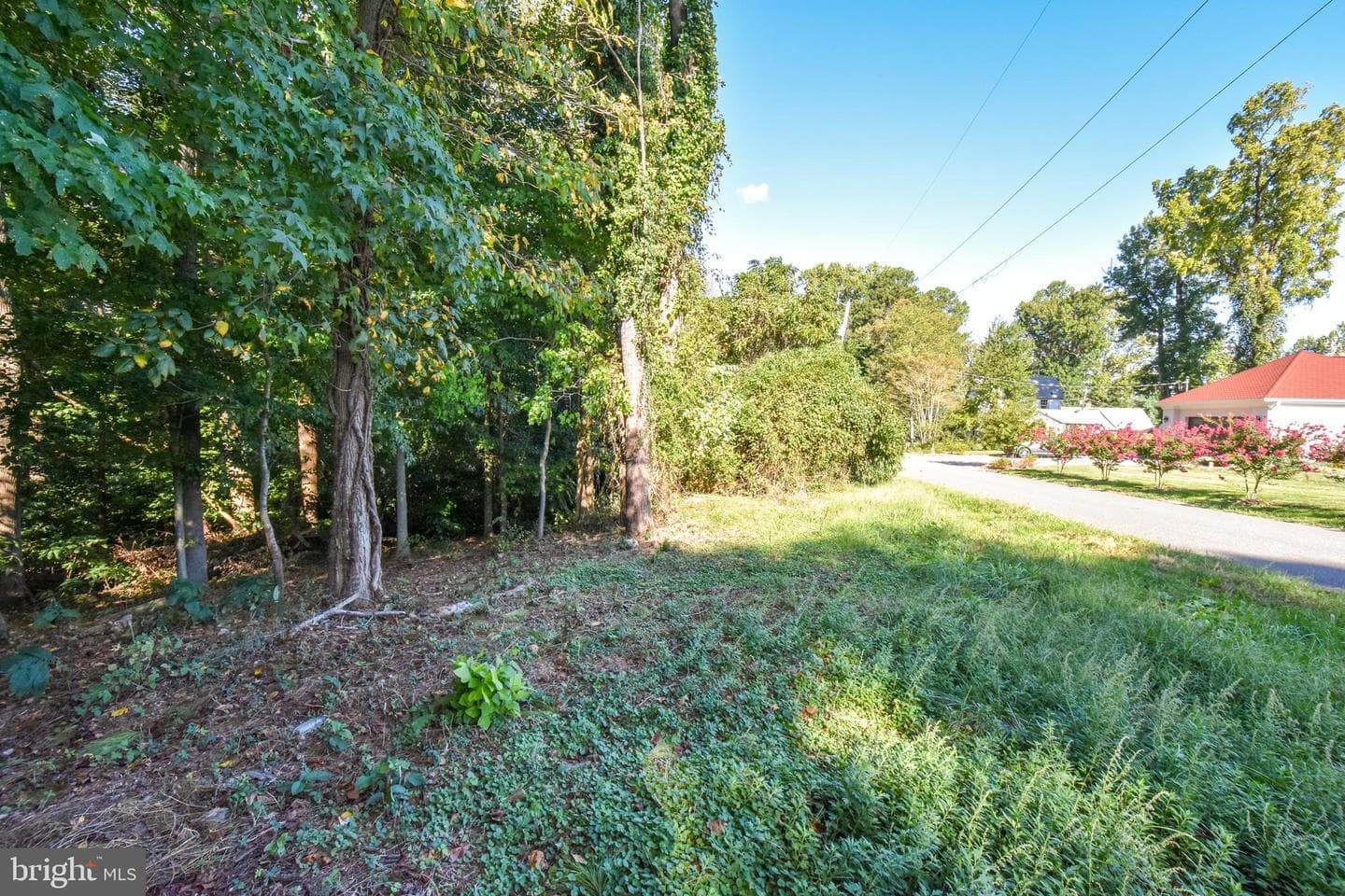 6041 Hill Road photo 7
