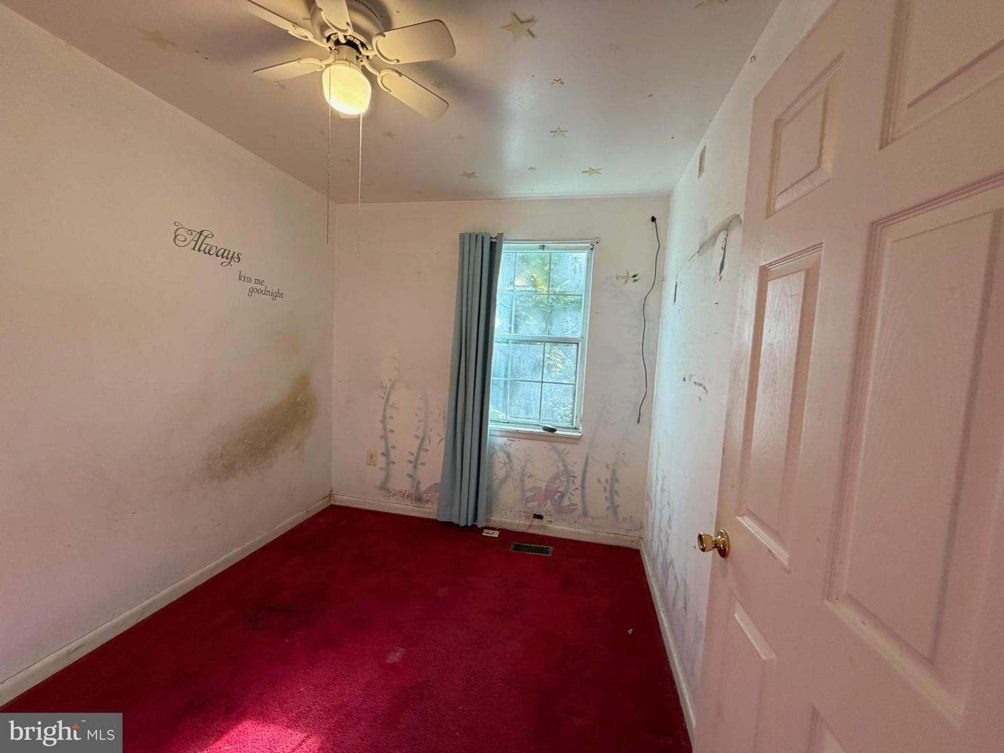 8446 Pine Boulevard photo 11