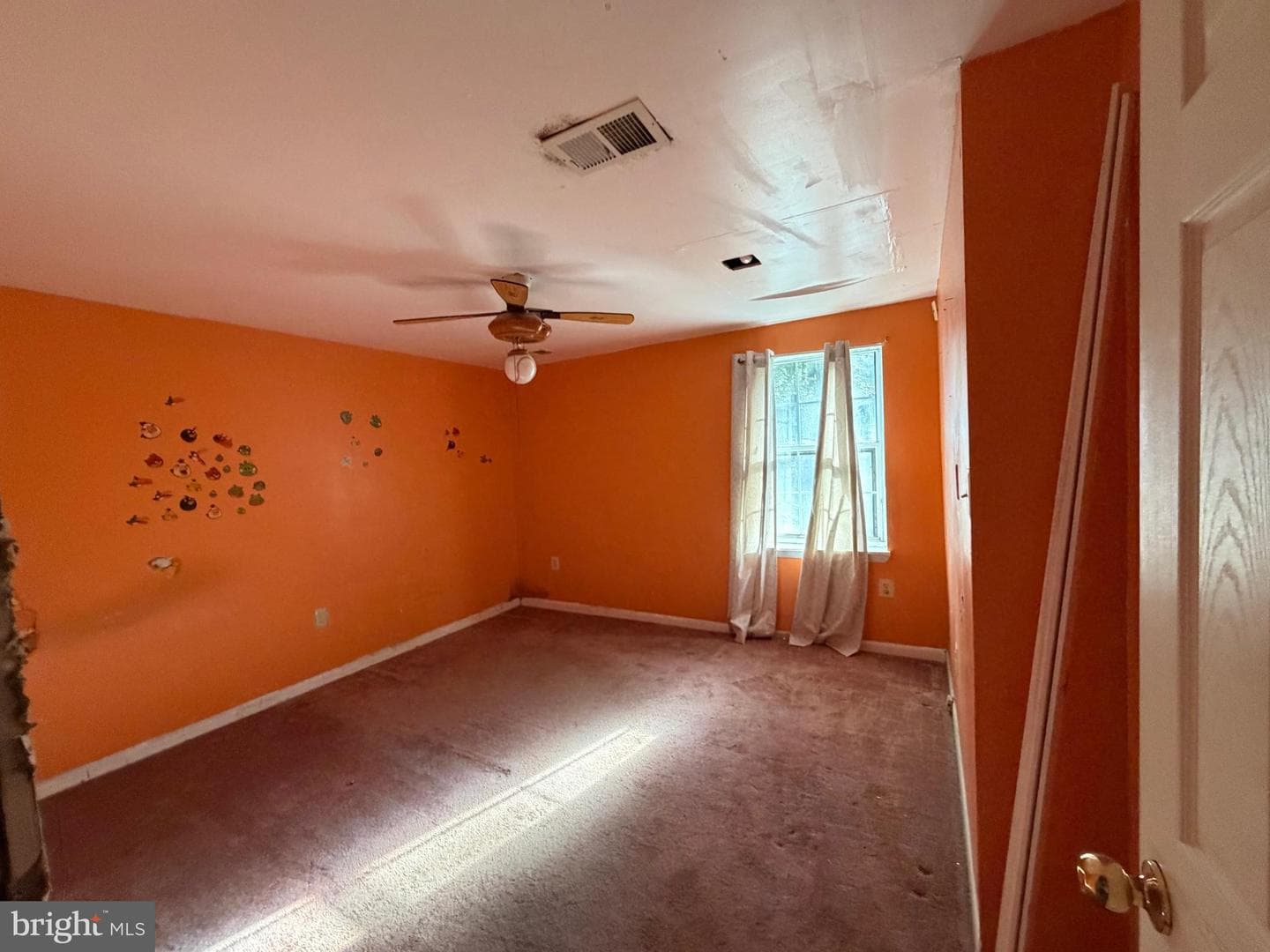 8446 Pine Boulevard photo 13