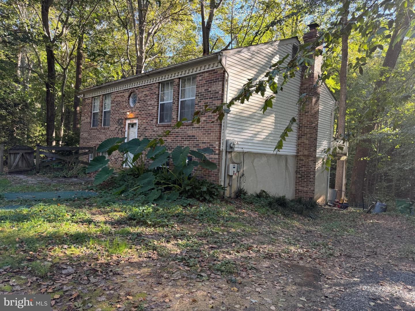 8446 Pine Boulevard photo 18