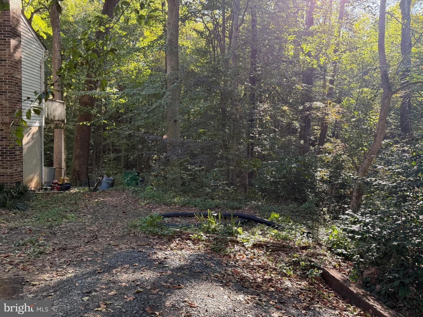 8446 Pine Boulevard photo 19